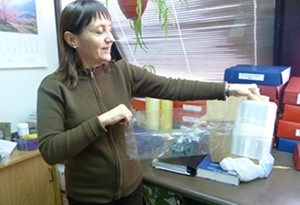 Dra. Graciela Goizueta