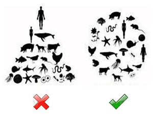 Ecofilosofía, disciplina y arte en la relación del hombre con la naturaleza