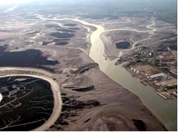 Fig. 4. Imagen de la zona interna del Estuario de Bahía Blanca, mostrando sus extensas planicies de marea Fig. 4. Imagen de la zona interna del Estuario de Bahía Blanca, mostrando sus extensas planicies de marea