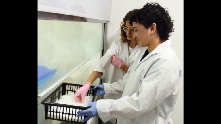Melisa Fernández Severini y Ele Beruschi trabajando en el laboratorio y bajo campana de extracción para preparar el material que será utilizado en el análisis de muestras de metales pesados.