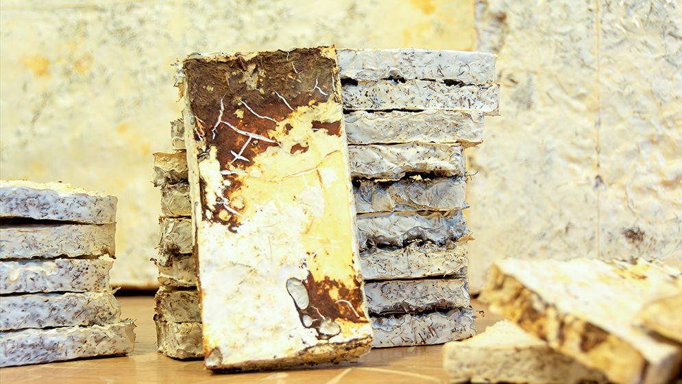 Paneles-5